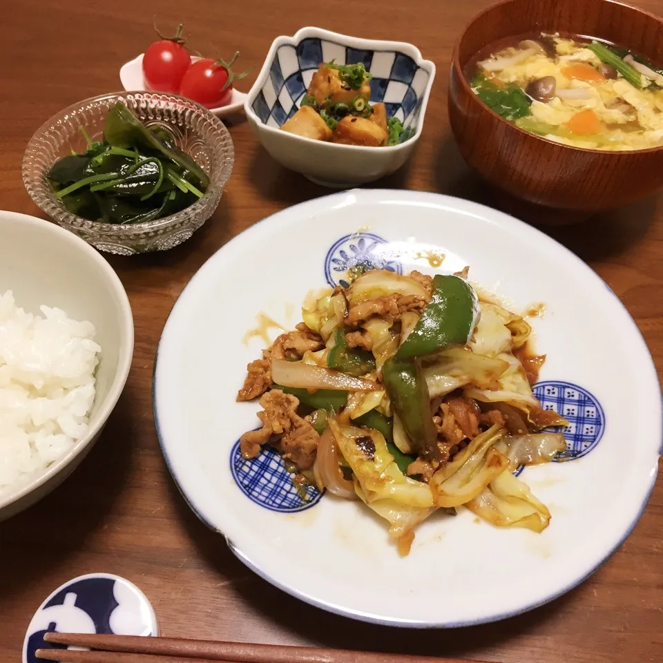 Snapdishの料理写真:今日の夜ごはん|non0619さん