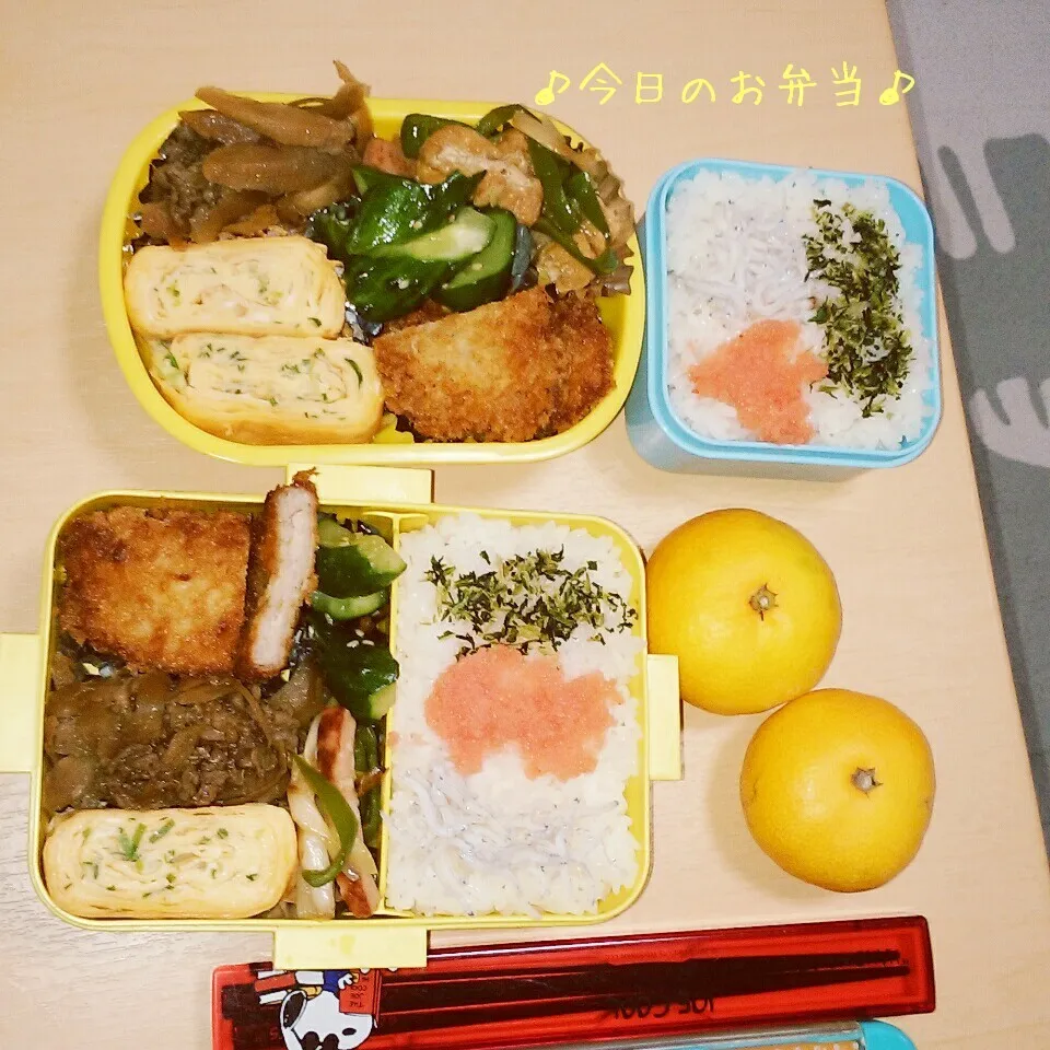 Snapdishの料理写真:娘ちゃん弁当＆自分弁当♪|ぽんちっちさん