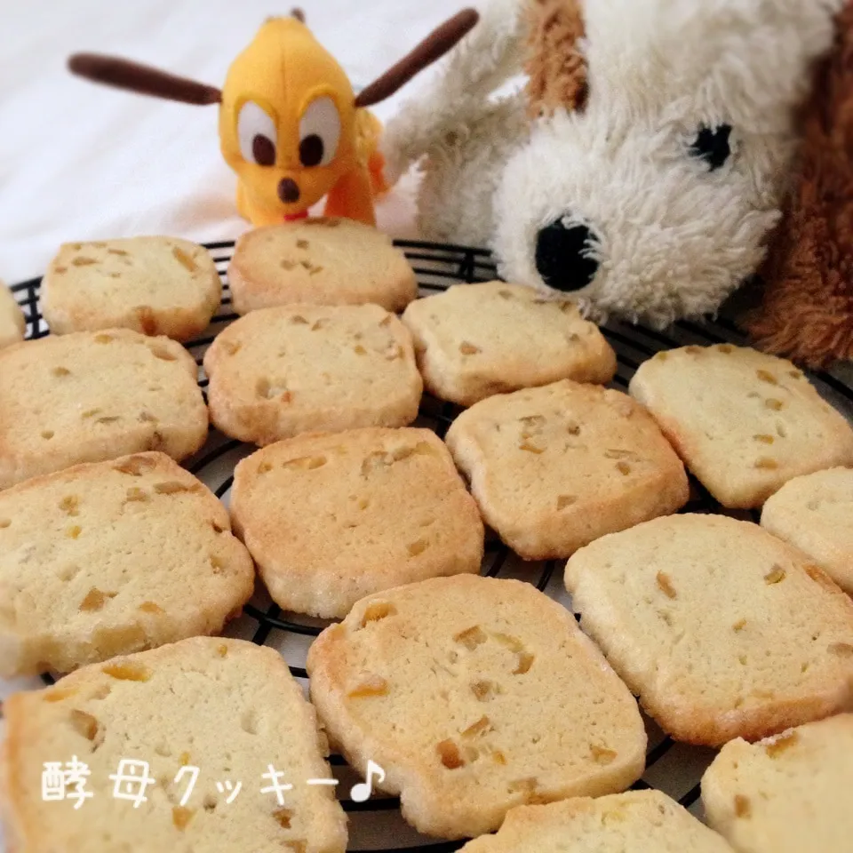 酵母クッキー＊日向夏の酵母とピールで♪|＊ゆき＊さん