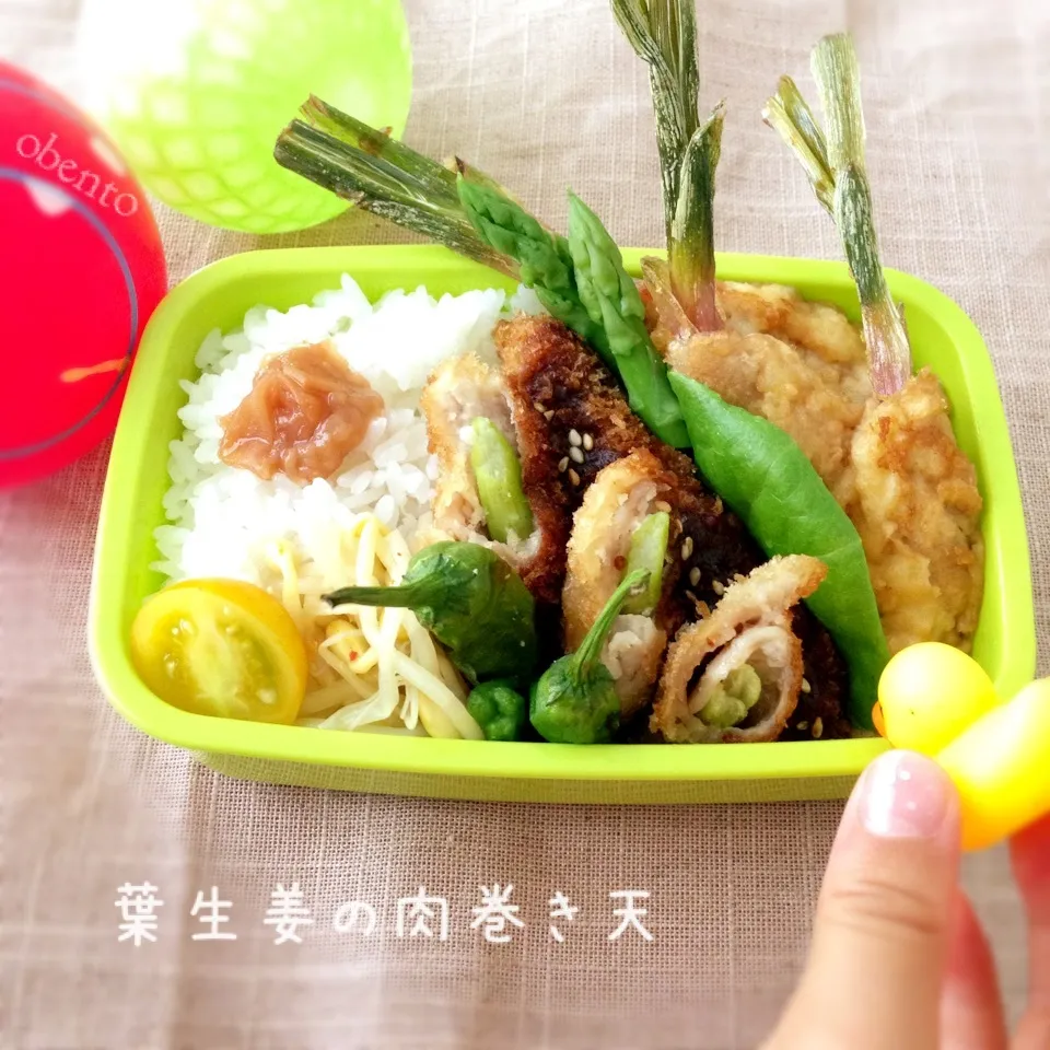 Snapdishの料理写真:パパ弁当＊葉生姜の肉巻き天＊アスパラの肉巻きフライ♪|＊ゆき＊さん