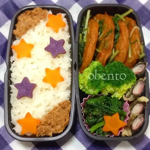 パパごめんね〜(´-﹏-`；)ヘルシー過ぎるお弁当。|＊ゆき＊さん