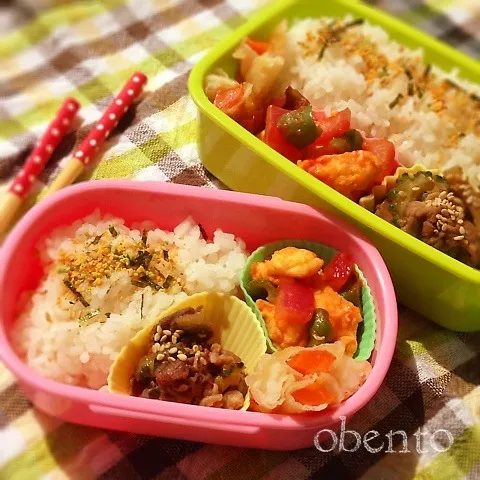 夏野菜たっぷり親子弁当♫|＊ゆき＊さん