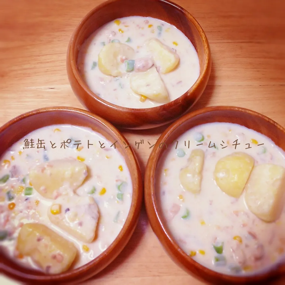 Snapdishの料理写真:鮭缶とポテトとインゲンのクリームシチュー♪|＊ゆき＊さん