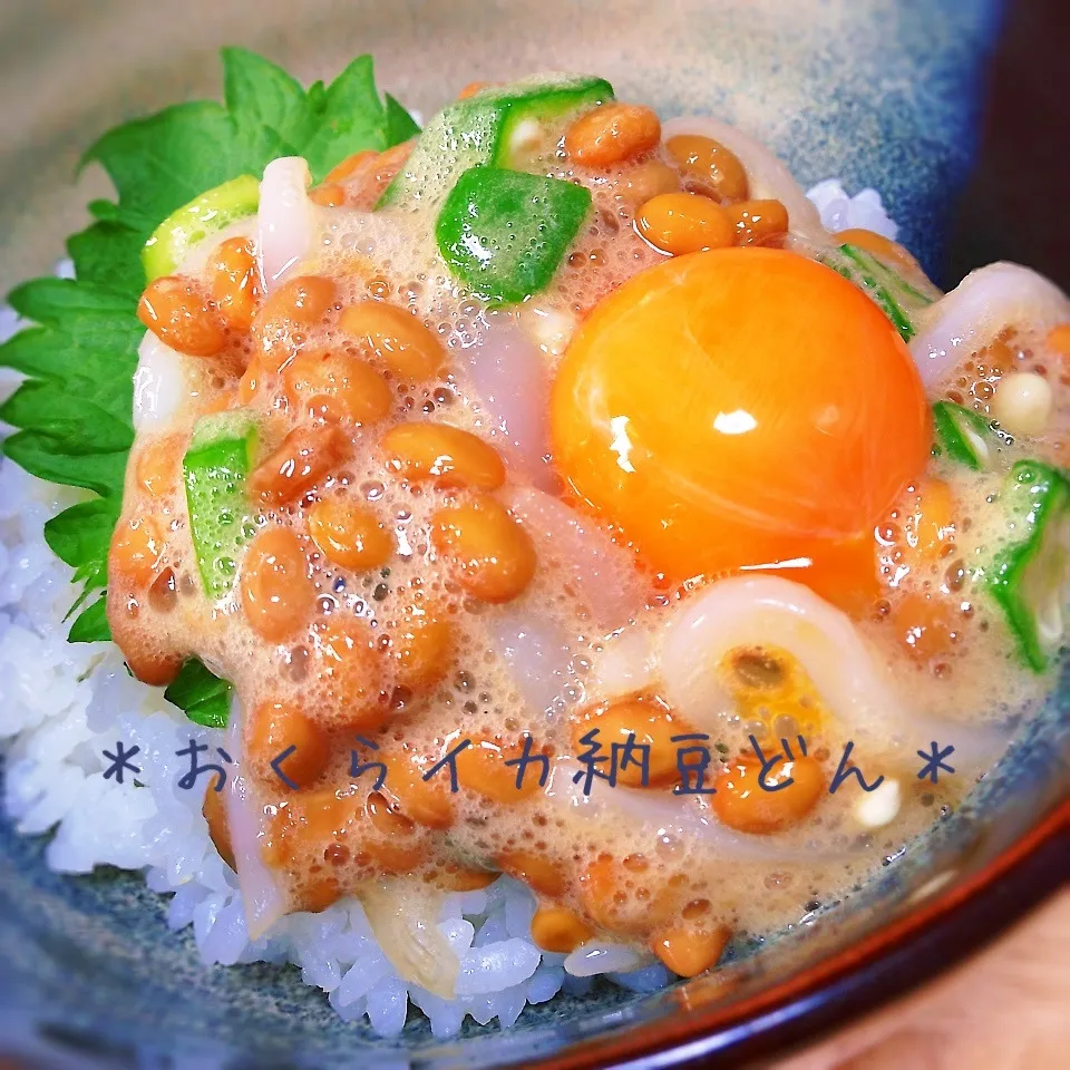 おくらイカ納豆丼|＊ゆき＊さん