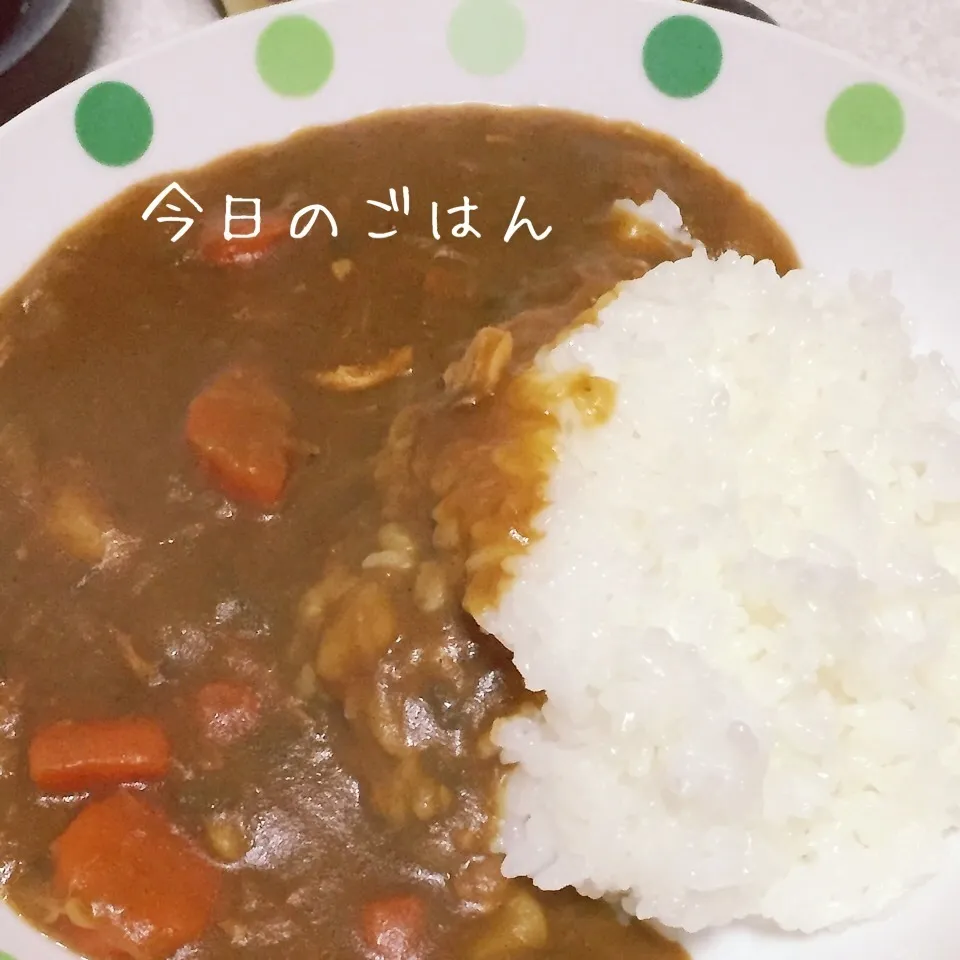 カレーライス☆|☆はんみちゃん☆さん