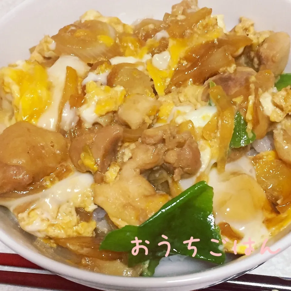 親子丼☆|☆はんみちゃん☆さん