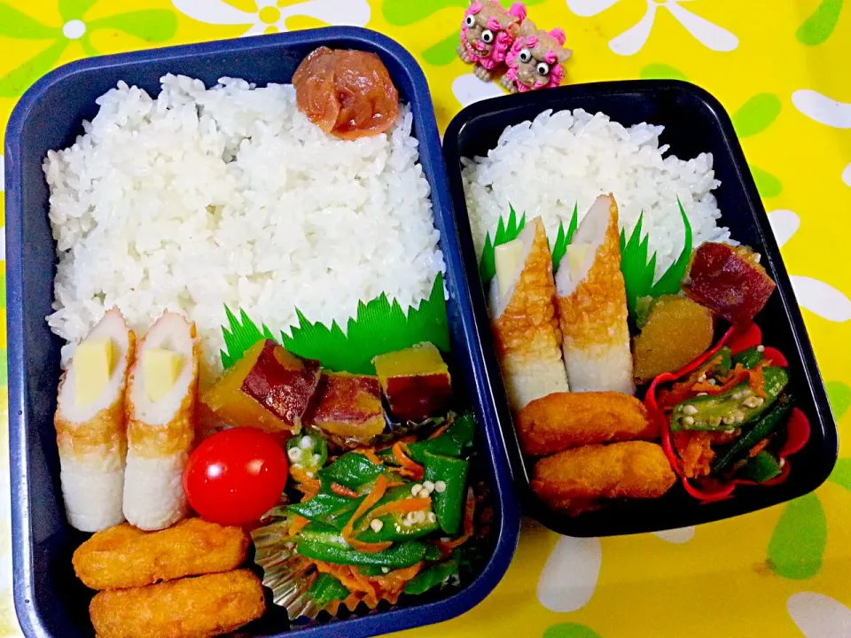 夫の弁当、娘の弁当|みどりさん