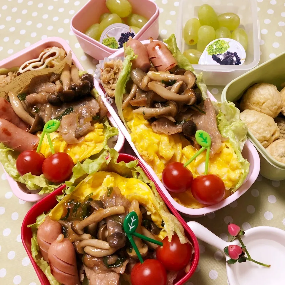 春の親子弁当⑨|ピヨまるさん