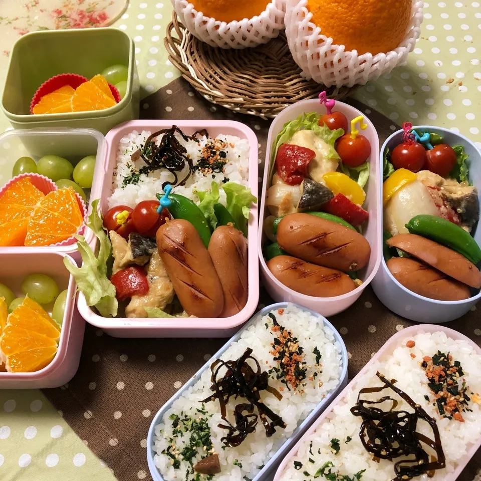 春の親子弁当③|ピヨまるさん