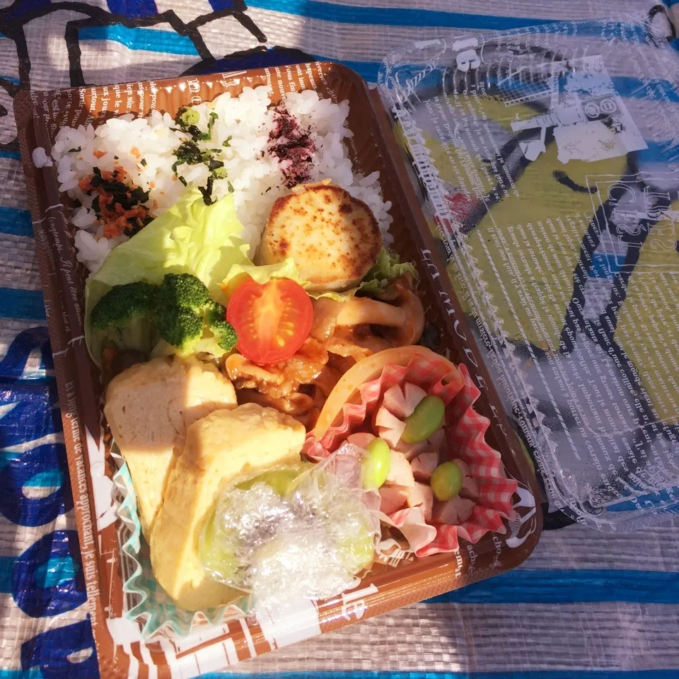 Snapdishの料理写真:外でお弁当🍱|ピヨまるさん