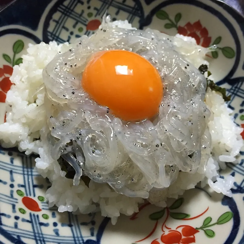 生しらす丼☆大葉ニンニク醤油で|ピヨまるさん