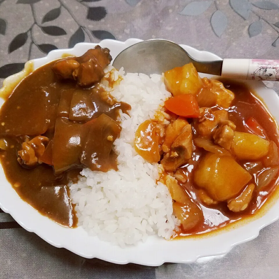 カレーとハヤシのハーフハーフ|きつねこかあさんさん