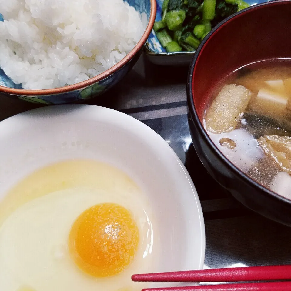 卵かけ御飯 今朝の味付けは塩と胡麻油|きつねこかあさんさん