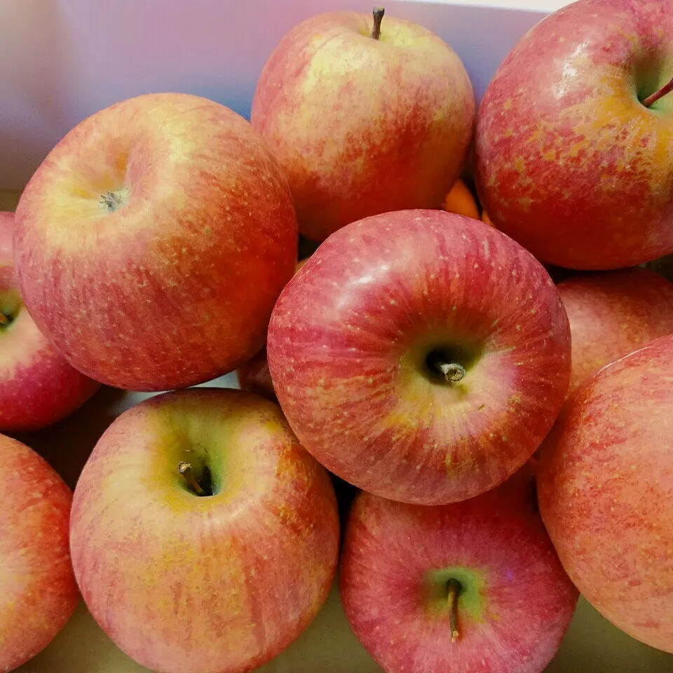 板金屋さんの親方から頂き物🍎|きつねこかあさんさん