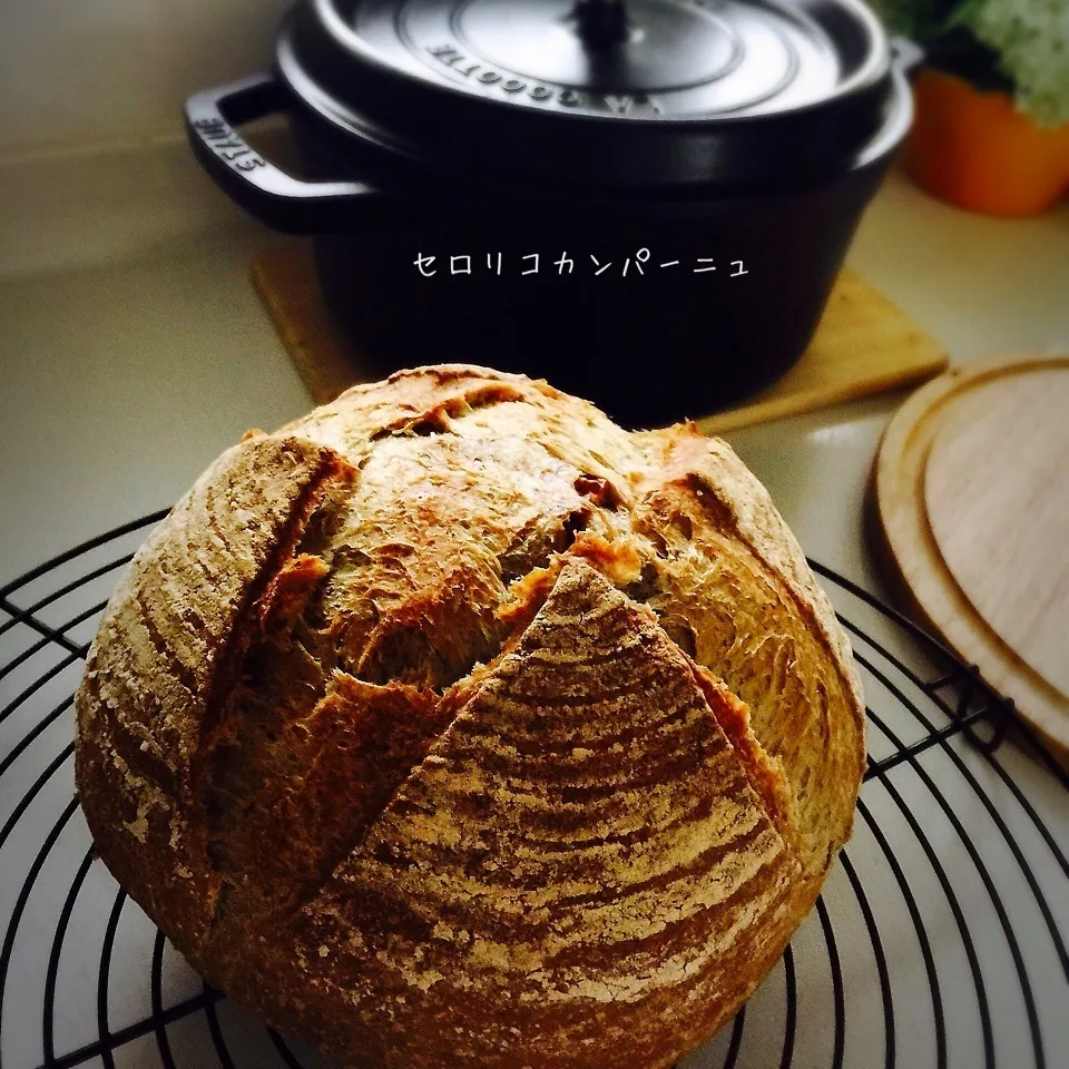 セロリコカンパーニュ  ヨーグルト酵母|ポリーさん