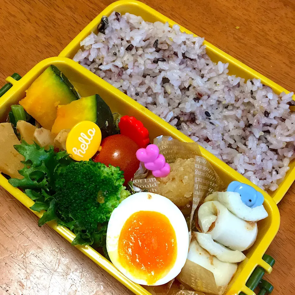 11月15日むすめ弁当|なお。みさん