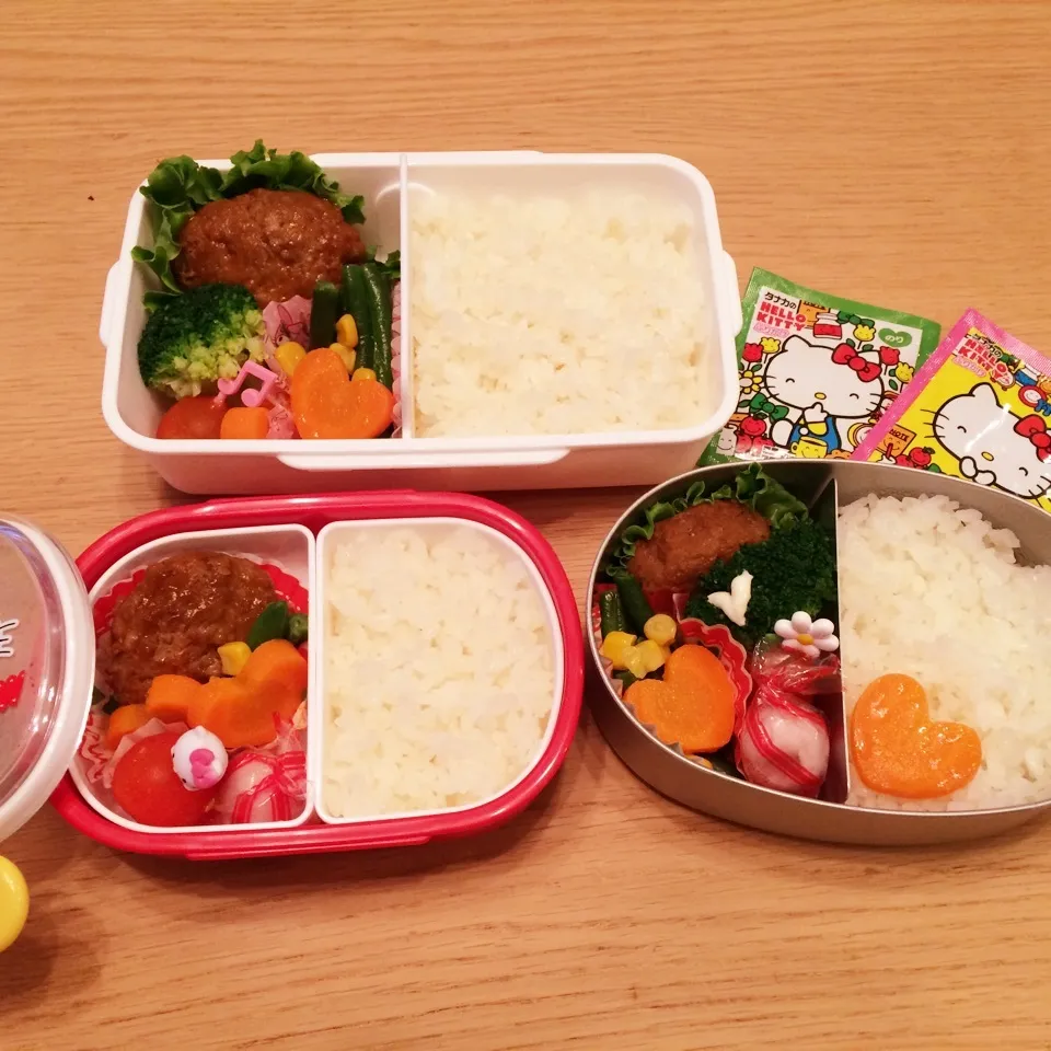 Snapdishの料理写真:ハンバーグ弁当×3|はるmamaさん