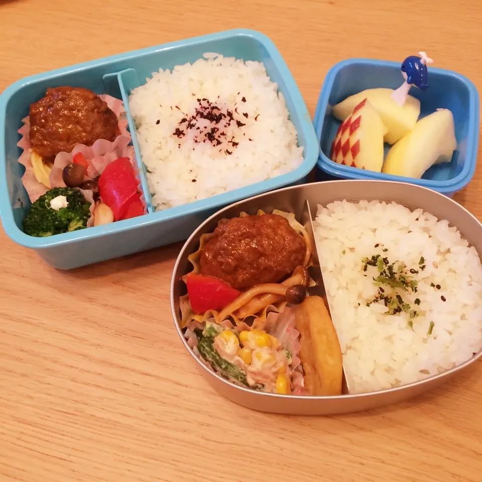 Snapdishの料理写真:ハンバーグ弁当☆|はるmamaさん