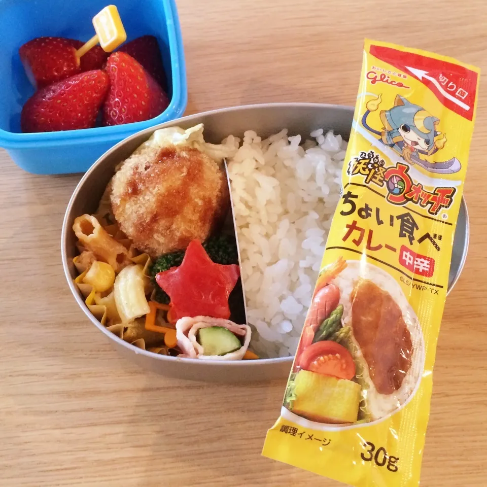 Snapdishの料理写真:カレー弁当☆|はるmamaさん