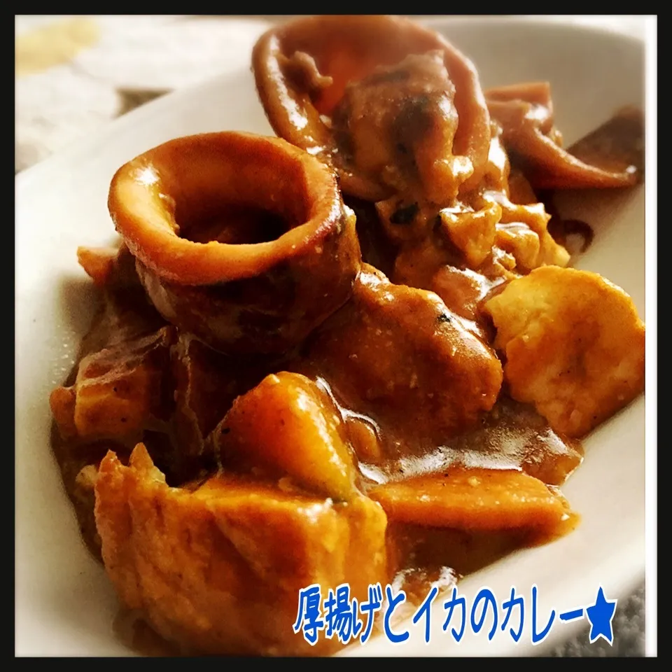 Snapdishの料理写真:ヘルシー！厚揚げとイカのカレー★|さちぃさん