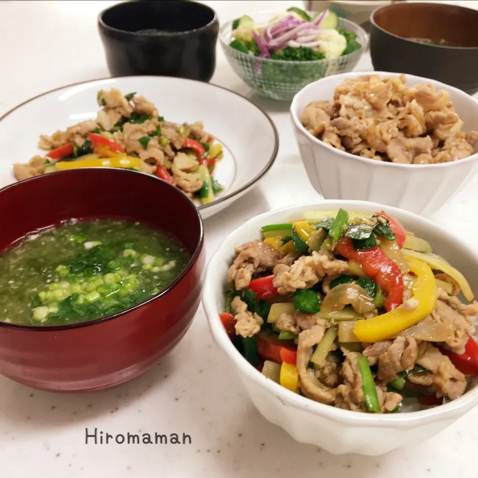 カラフル豚丼ランチ♡|ひろママさん