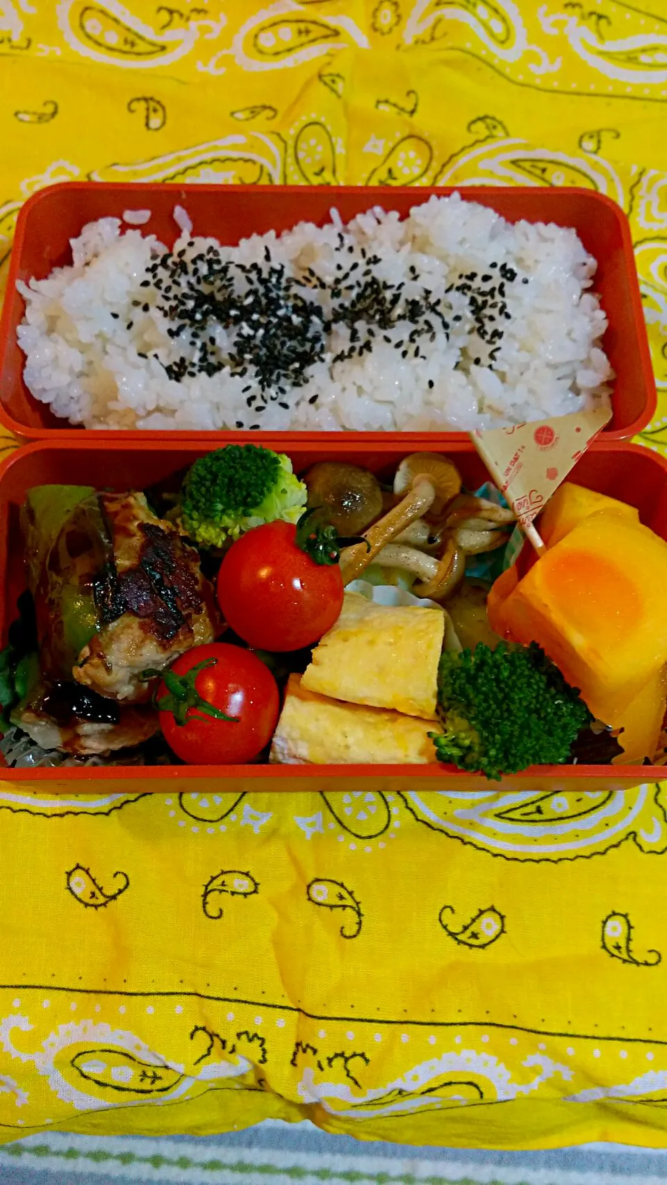 今日の息子のお弁当🍱|けーこさん