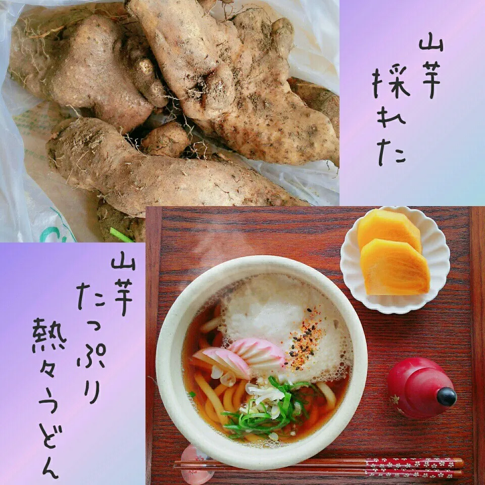 今日のお一人様ランチ 山芋たっぷりうどん|ｋａｋoさん