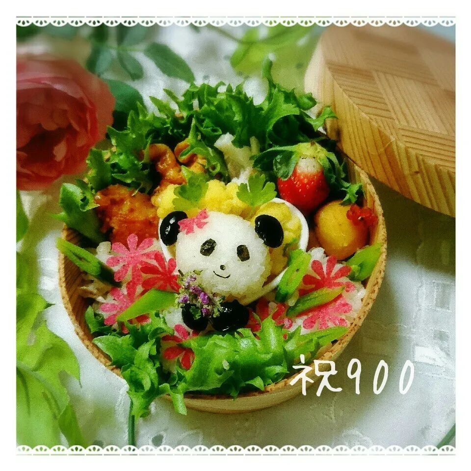 シフォンちゃん♥㊗900パンダ🐼ちゃん弁当|kotokotoさん