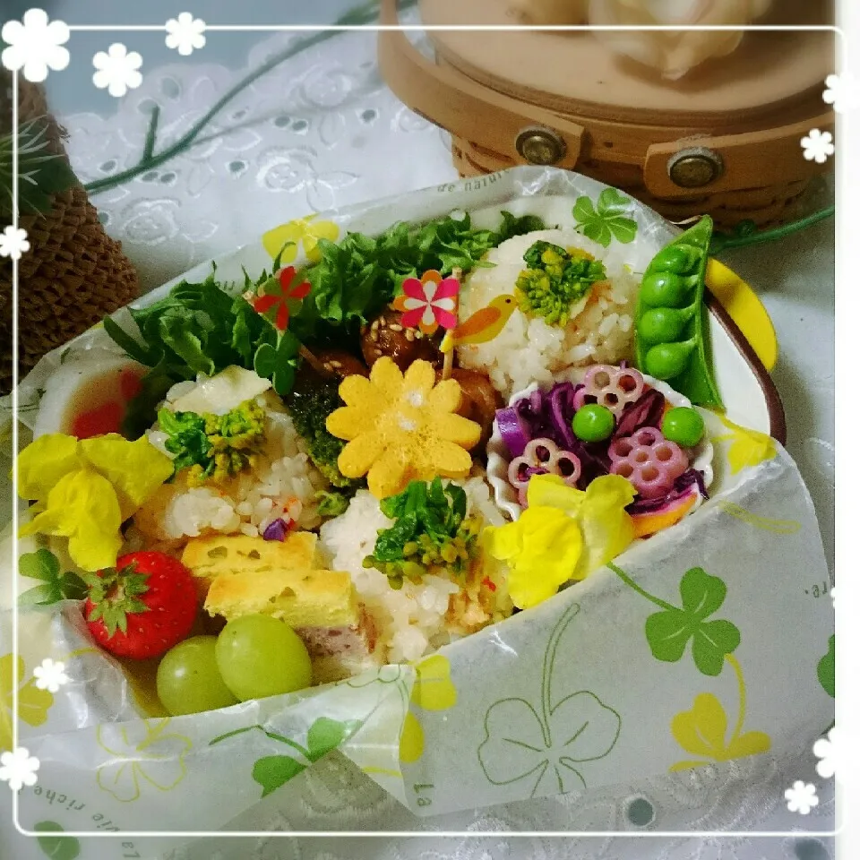 Snapdishの料理写真:筍と鶏そぼろ炊き込みご飯 菜の花のせおにぎり弁当|kotokotoさん