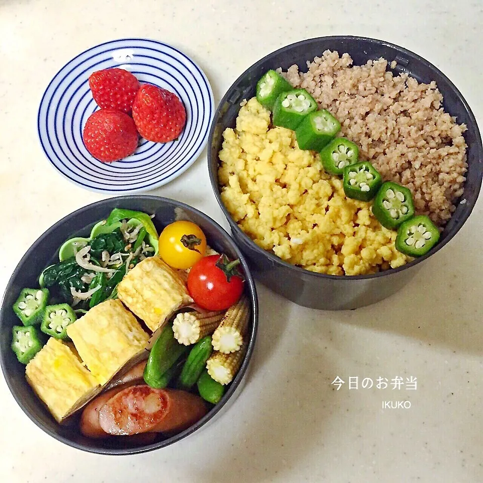 今日のお弁当|いっこさんさん