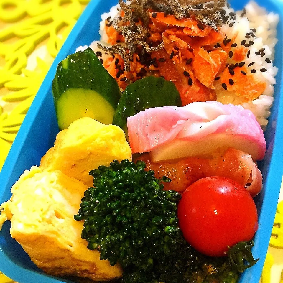 Snapdishの料理写真:鮭弁当|山田 奈味　Instagram ＊nmymd369さん