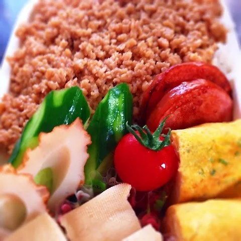 鶏味噌そぼろ弁当|山田 奈味　Instagram ＊nmymd369さん