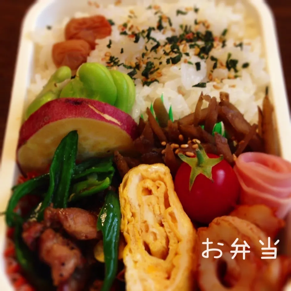 Snapdishの料理写真:焼き物弁当|山田 奈味　Instagram ＊nmymd369さん