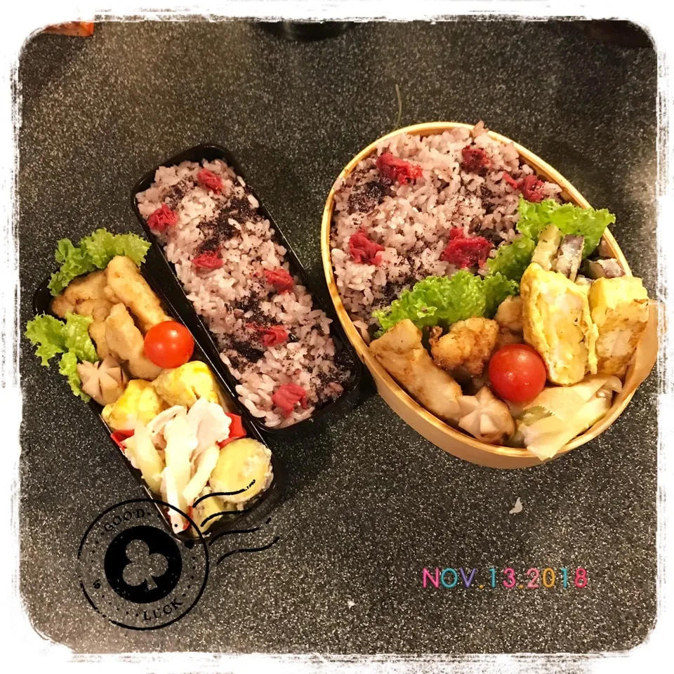 11/13 ☺︎☺︎ ささみスタミナ唐揚げ弁当☆|jon2さん