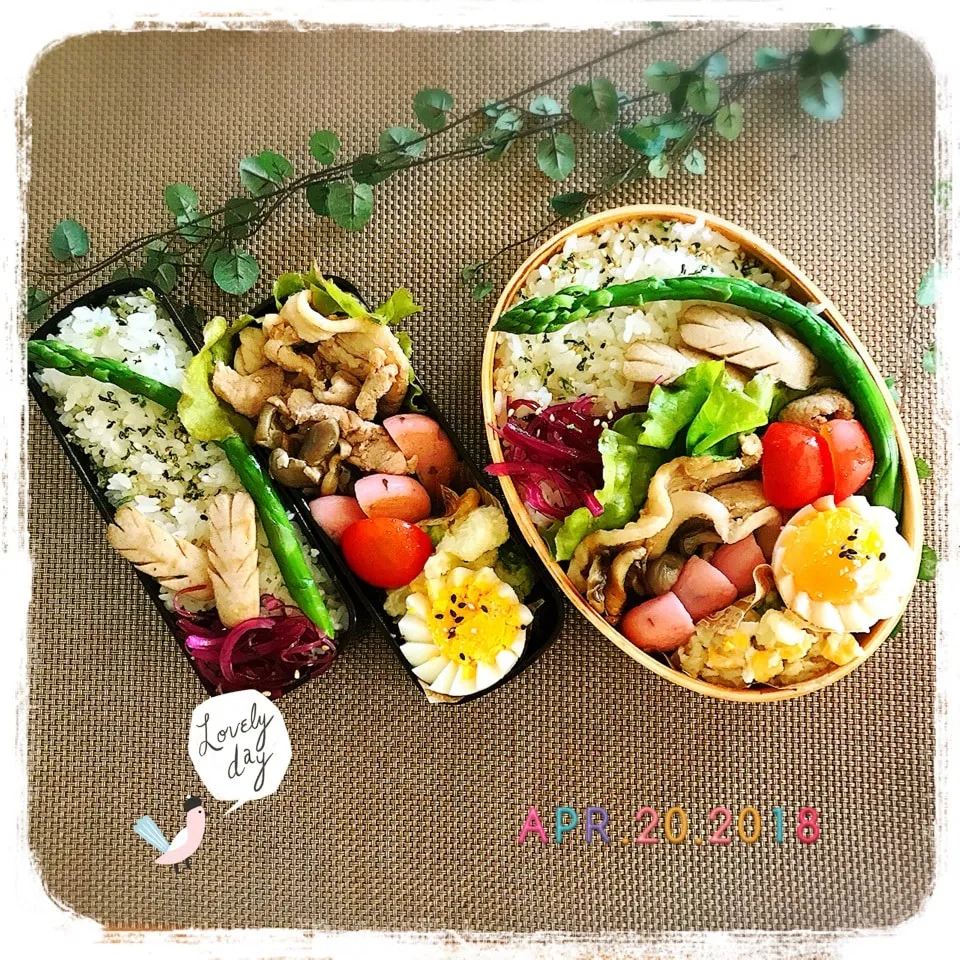 4/20 ☺︎︎☺︎︎豚の生姜焼き🐷枝豆ポテトサラダ弁当☆|jon2さん