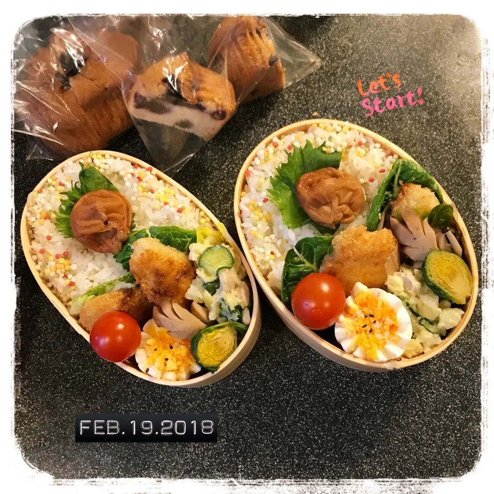 2/19 ☺︎☺︎白身魚のフライ🐟チーズポテトサラダ弁当☆|jon2さん