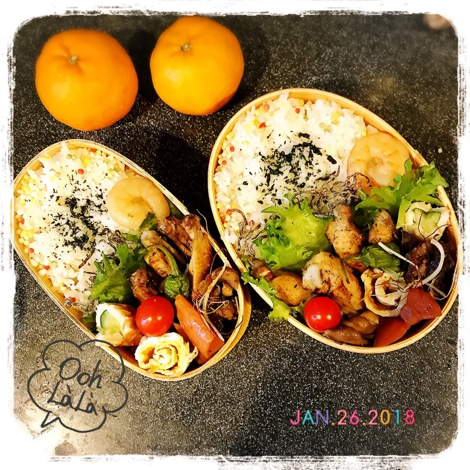 1/26 ☺︎☺︎ 鶏手羽中塩焼き🐔牛しぐれ煮弁当☆|jon2さん