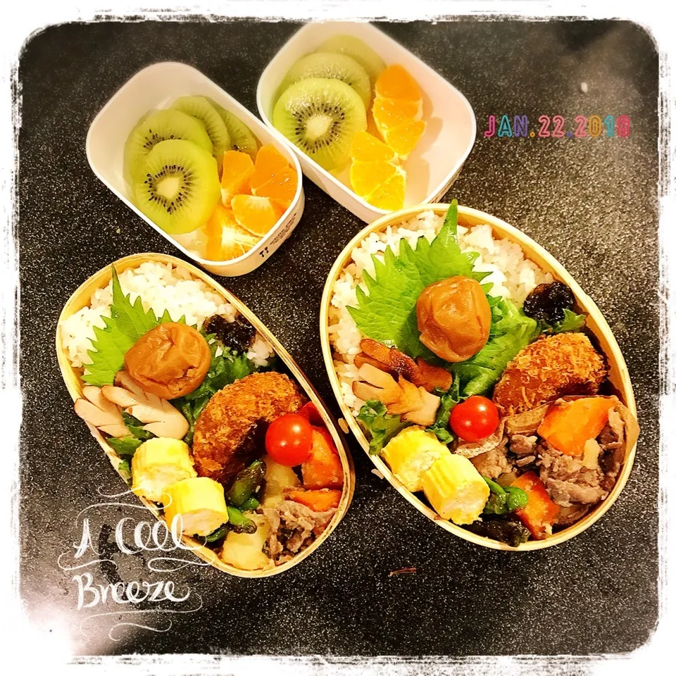 1/22 ☺︎☺︎ 牛肉じゃが🥔メンチカツ丸ごと弁当☆|jon2さん