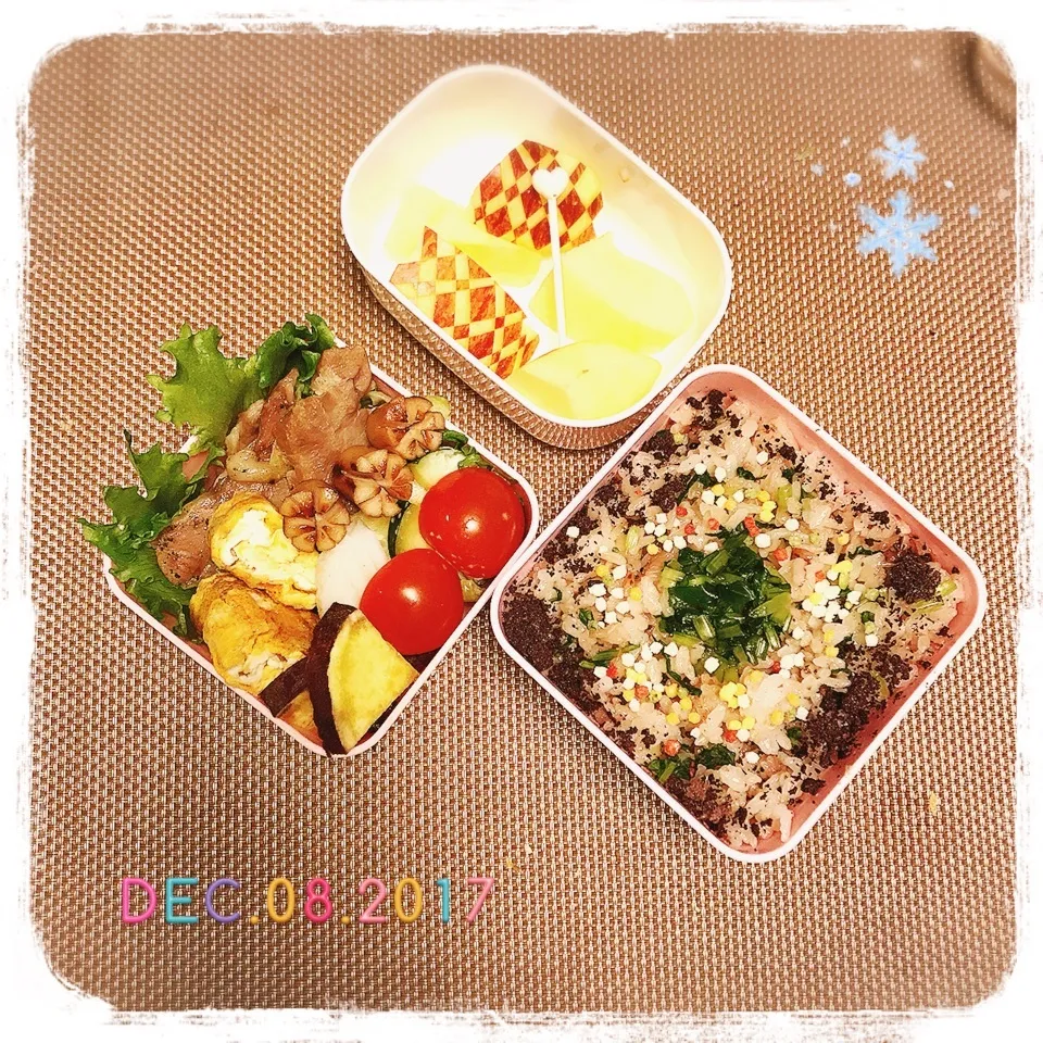 12/8 ☺︎ 塩豚キャベツ炒め🐽クタクタズッキーニ弁当♪|jon2さん