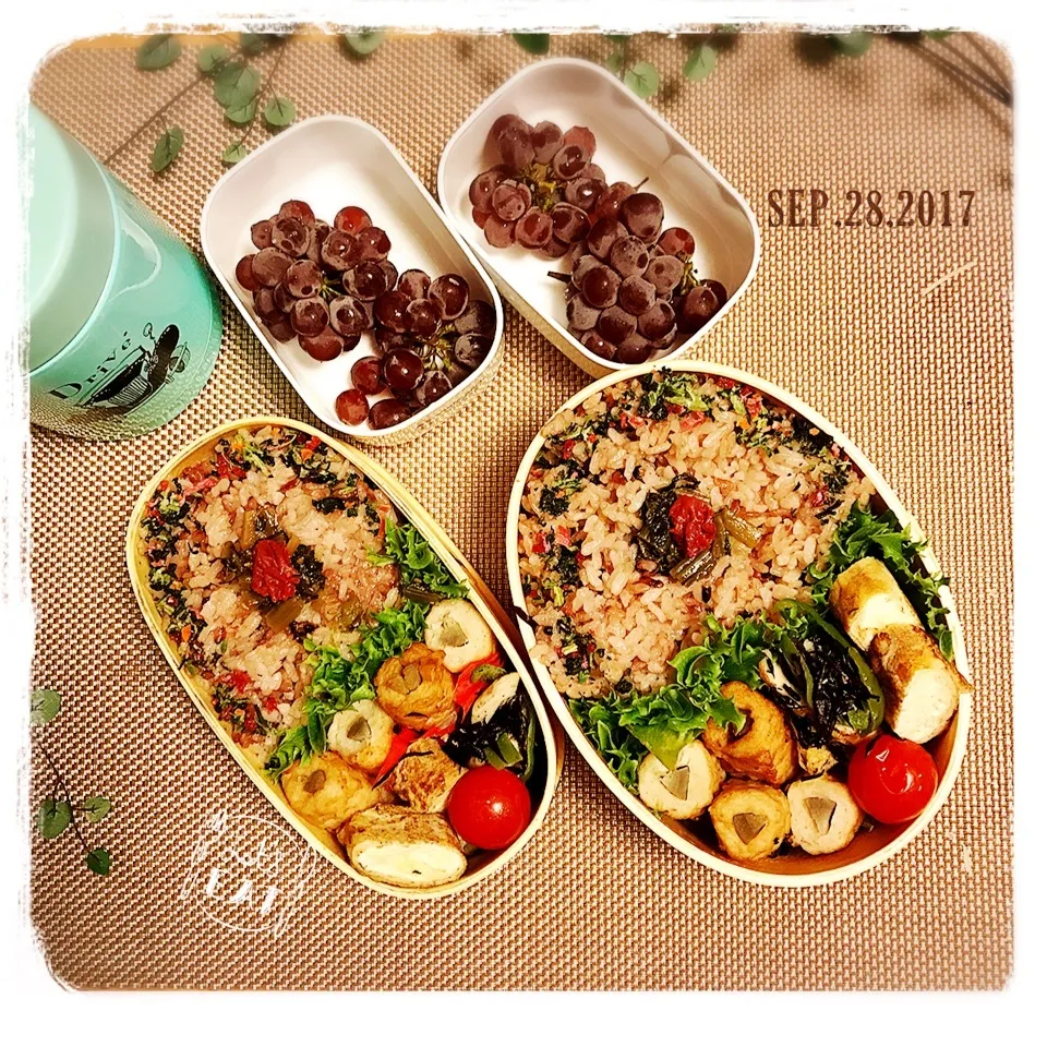 9/28☺︎☺︎ 鶏挽き肉牛蒡梅巻き🌀ひじきピーマン弁当♪|jon2さん