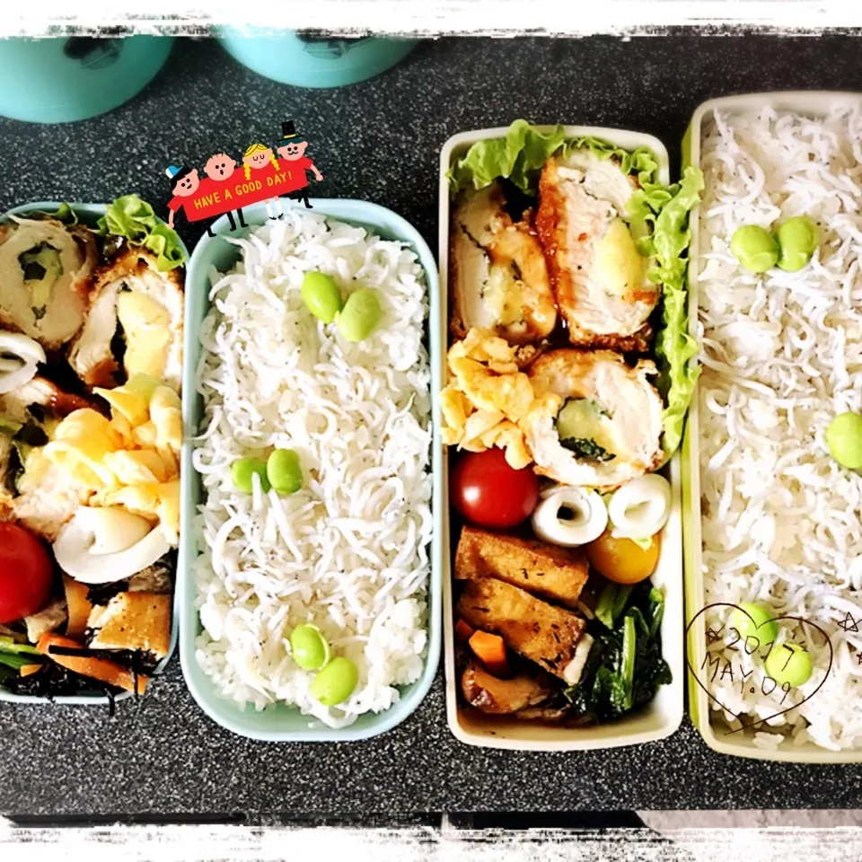 Snapdishの料理写真:5/9 ☺︎☺︎ しらすご飯🌱と鶏紫蘇チーズ巻フライ弁当♪|jon2さん