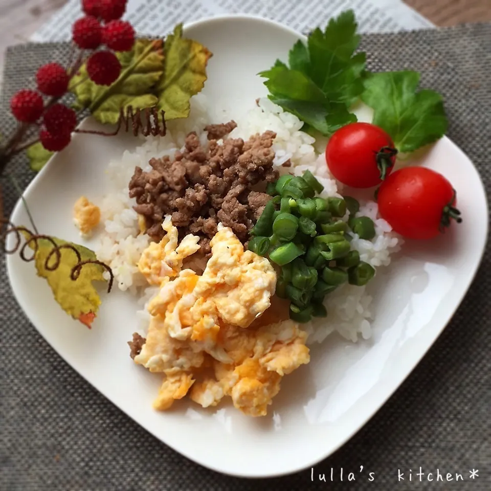 Snapdishの料理写真:三食そぼろ丼(^ε^)♪|yukiさん