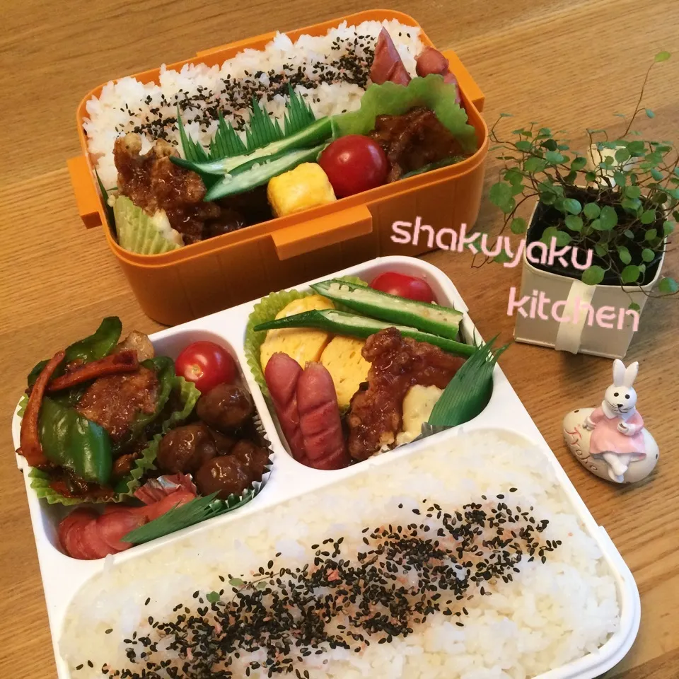 Snapdishの料理写真:高1 高2 息子弁当♡|shakuyaku33443344さん