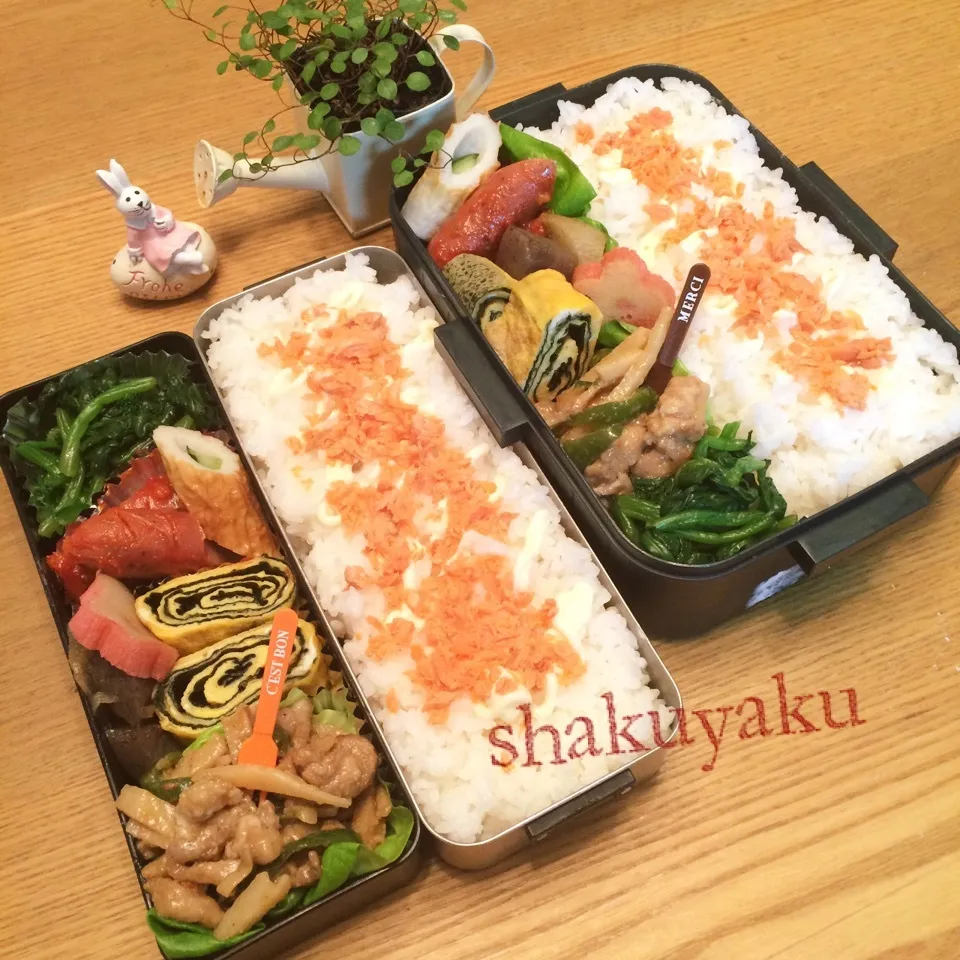 二回目♡高1 高2 息子弁当|shakuyaku33443344さん