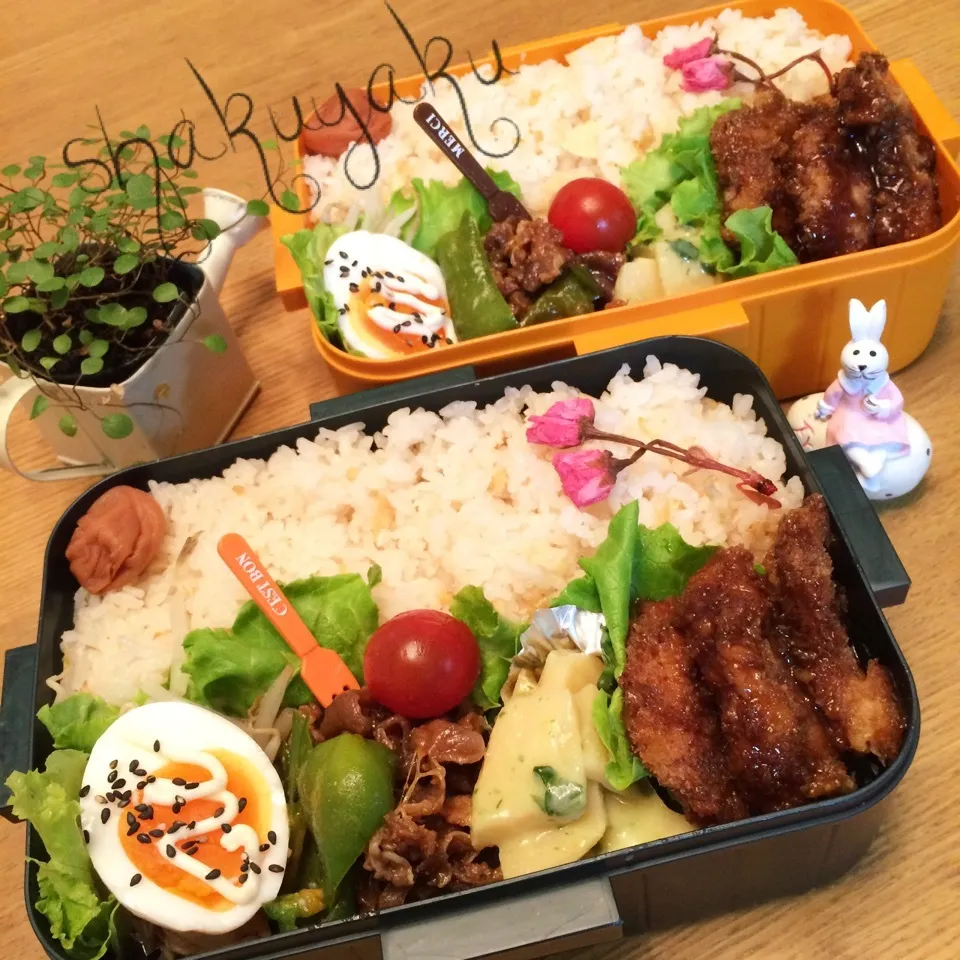 今日のお弁当♡ 高1 高2 息子弁当 1200ml|shakuyaku33443344さん