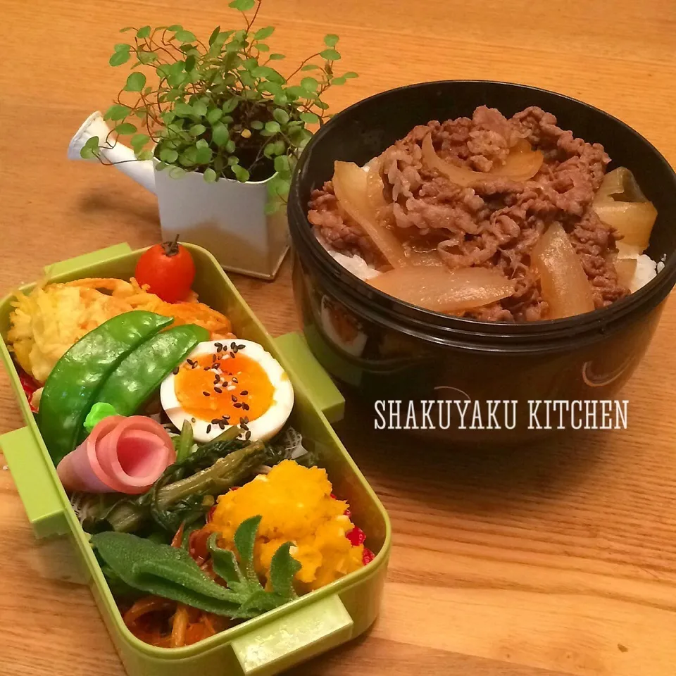 Snapdishの料理写真:牛丼弁当☆彡|shakuyaku33443344さん