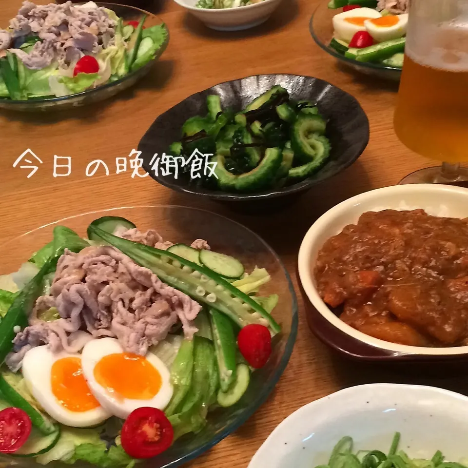 Snapdishの料理写真:今日の晩御飯 ☆彡|shakuyaku33443344さん