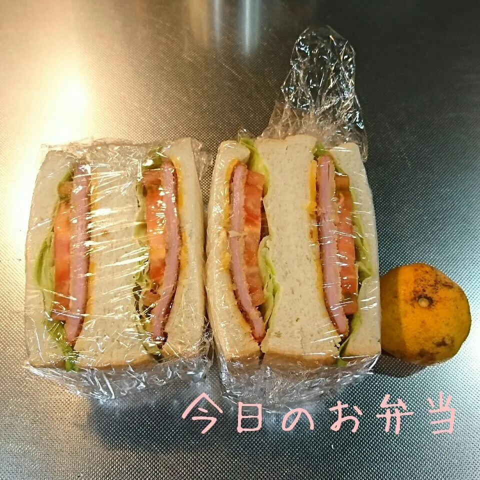 今日のお弁当 中学生娘ちゃん(*^^*)|sakuhimaさん