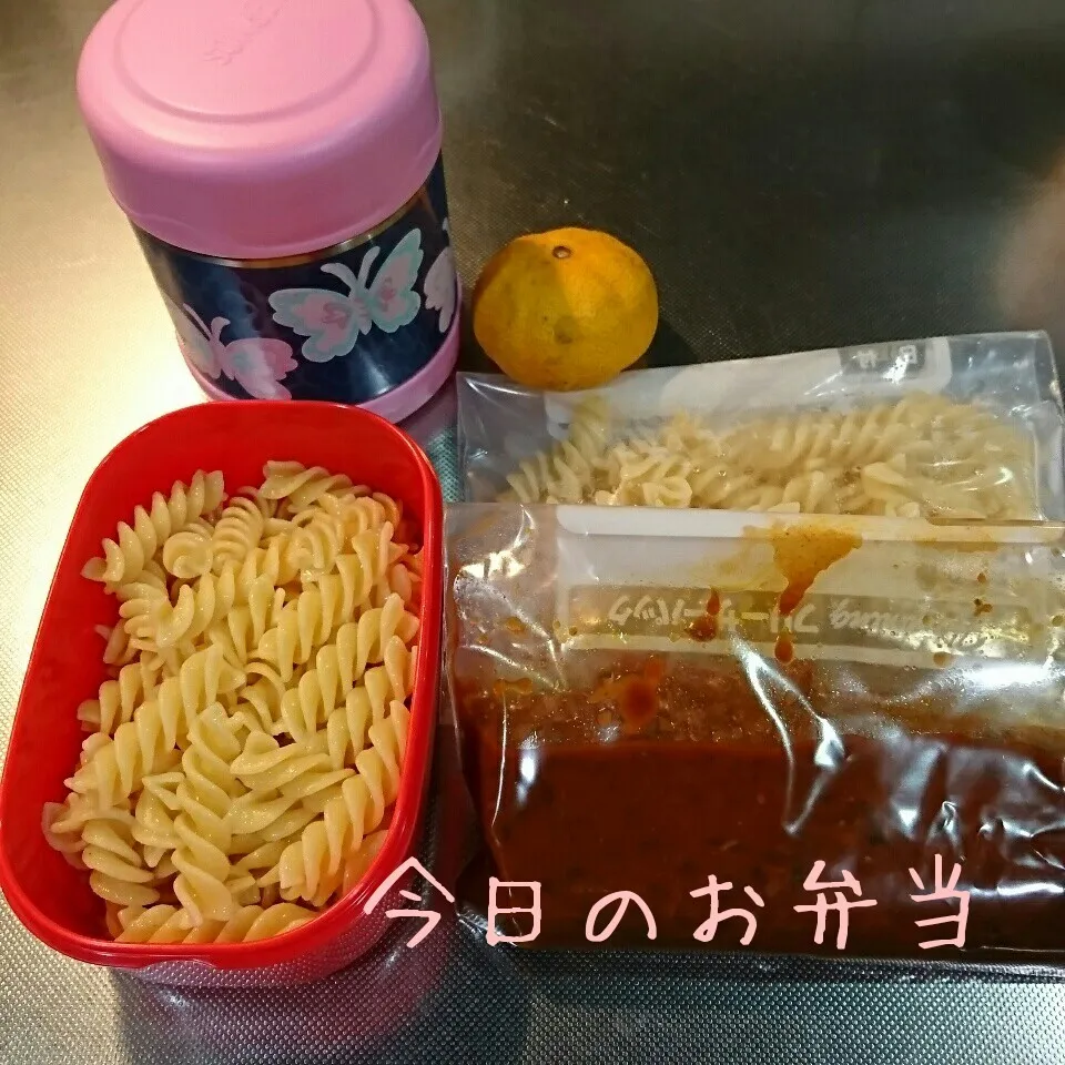 Snapdishの料理写真:今日のお弁当 ママ&中学生娘ちゃん(*^^*)|sakuhimaさん