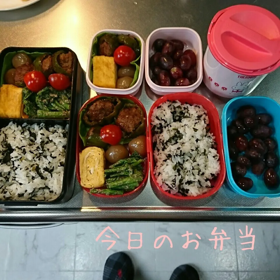 Snapdishの料理写真:今日のお弁当 パパ・私&中学生娘ちゃん|sakuhimaさん